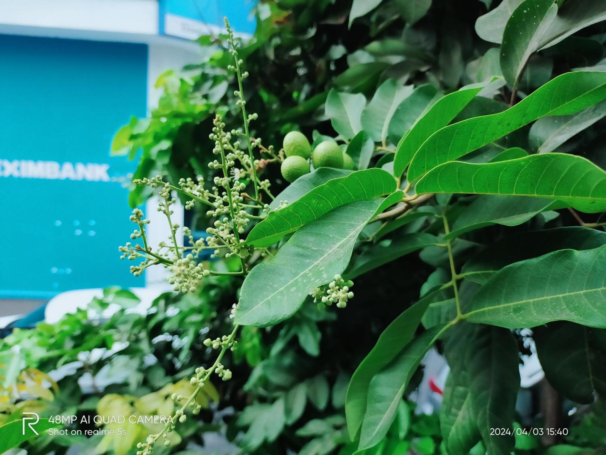 Khách sạn hẻo lánh Shusimi House & Boutique Near Tan Son Nhat Airport TP. Hồ Chí Minh